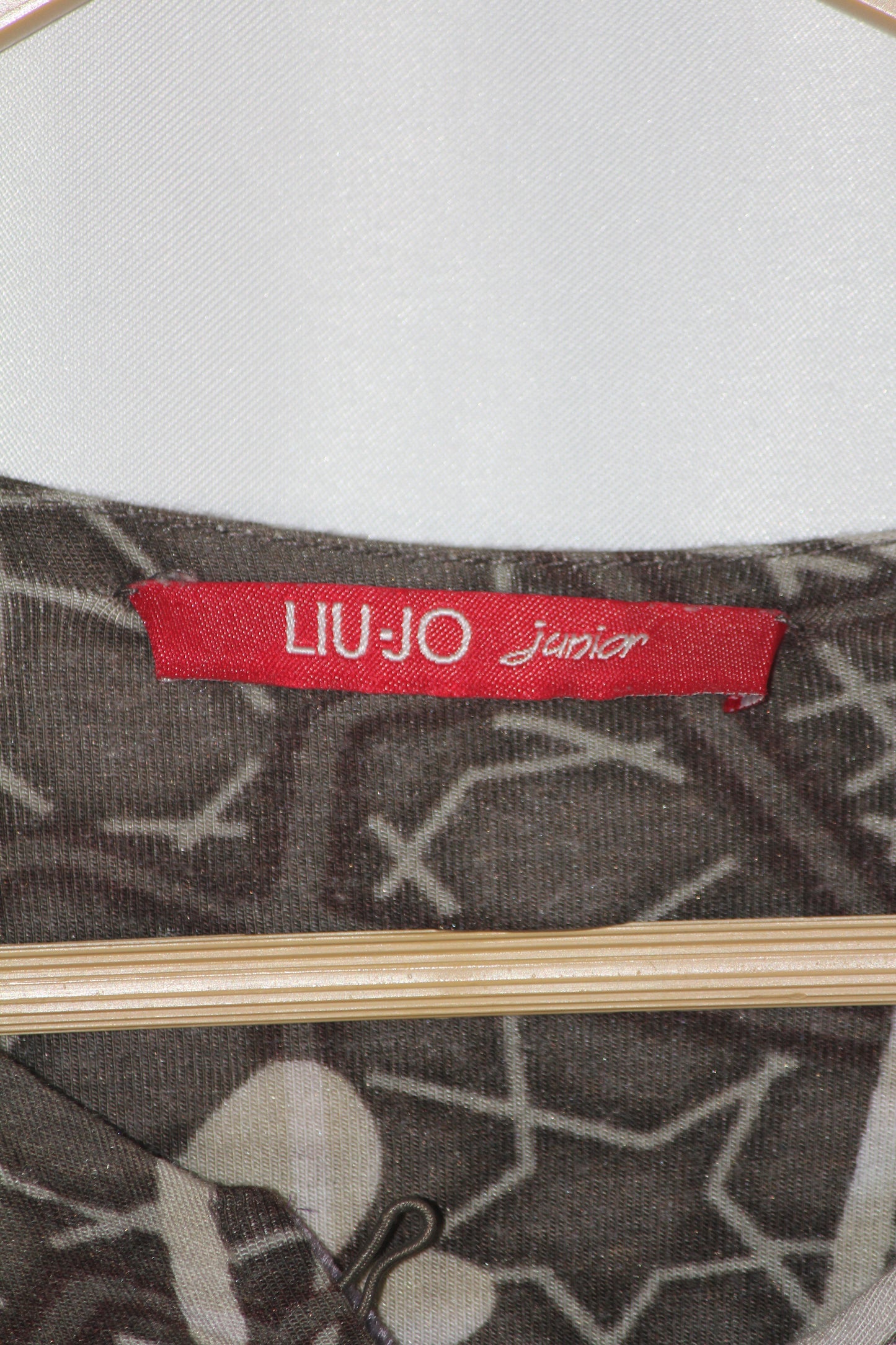 LIU-JO Floral Elegance Brown Dress