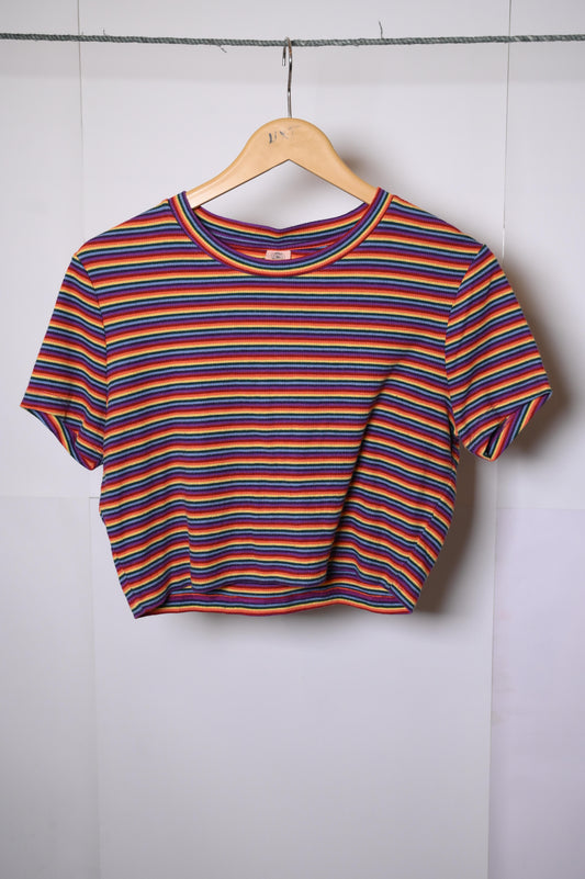 Urban Outfitters Multi Color Crop Top