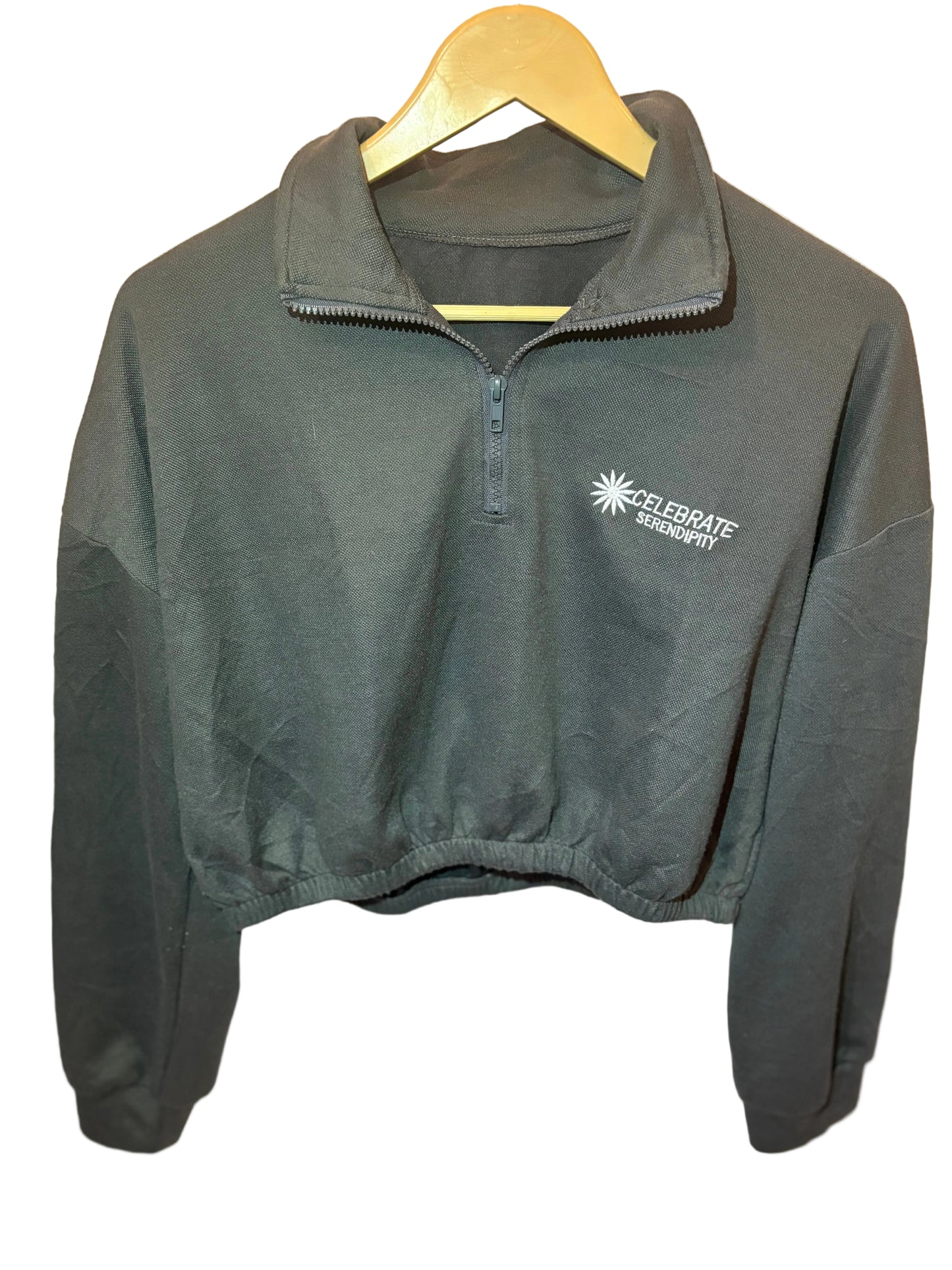 Dazy Grey Zipper Crop Top (Medium)