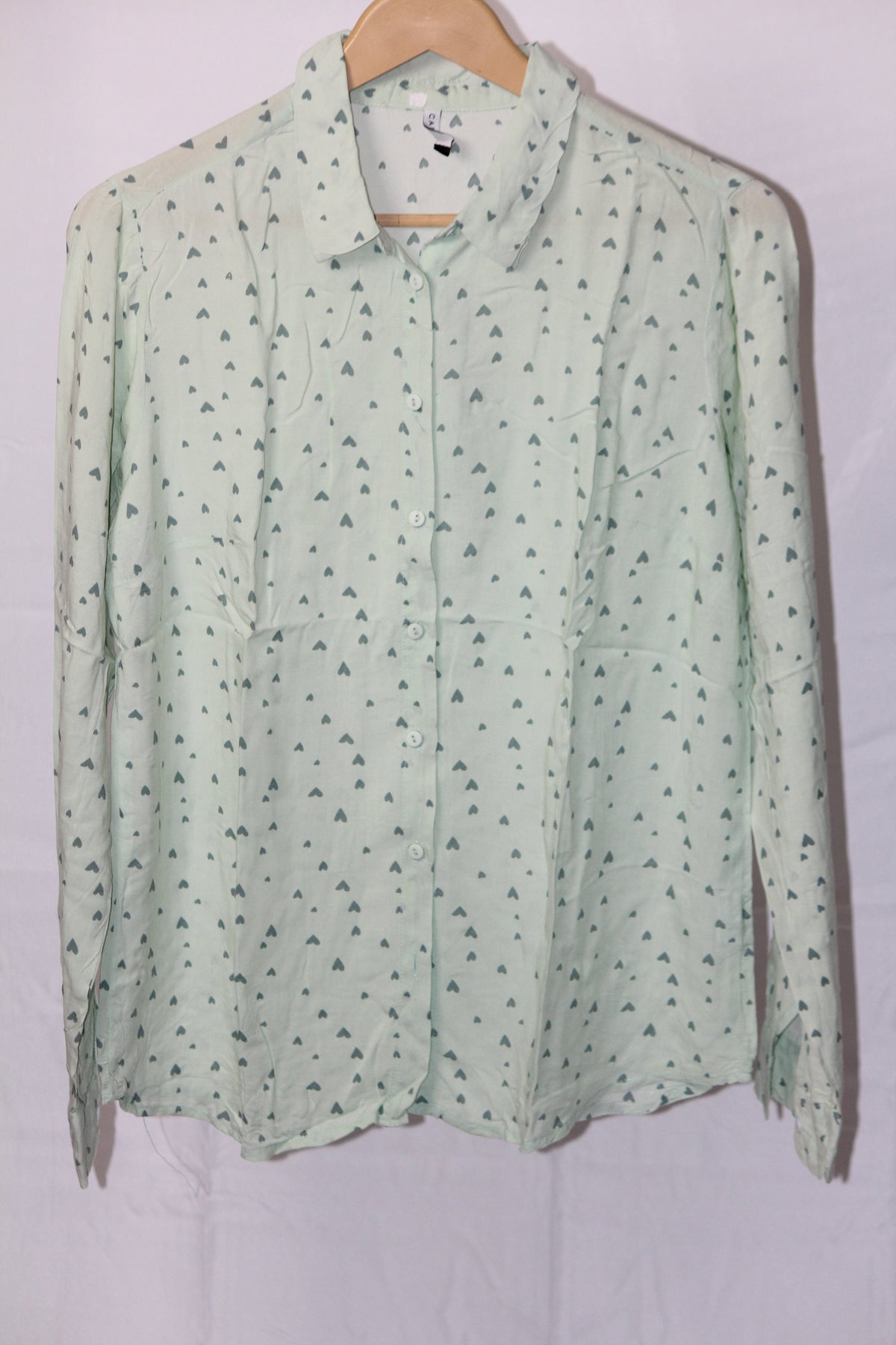 Heartfelt Green – Carry Young Pastel Green Button Down Shirt