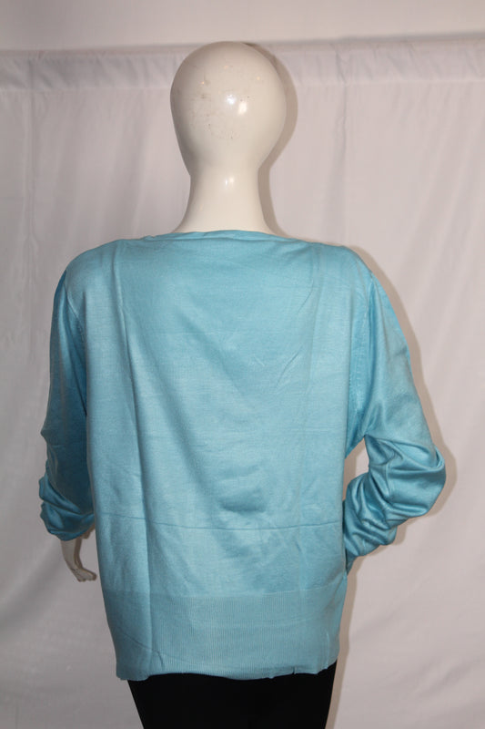 Amaranto Feroza Blue Button-Down Sweater (Large)