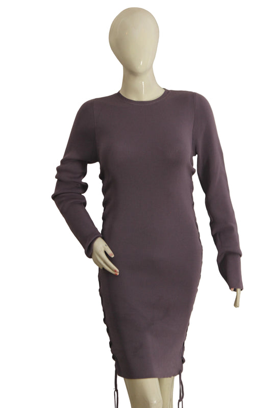 Forever 21 Purple Lace Side Full Sleeve Bodycon Dress