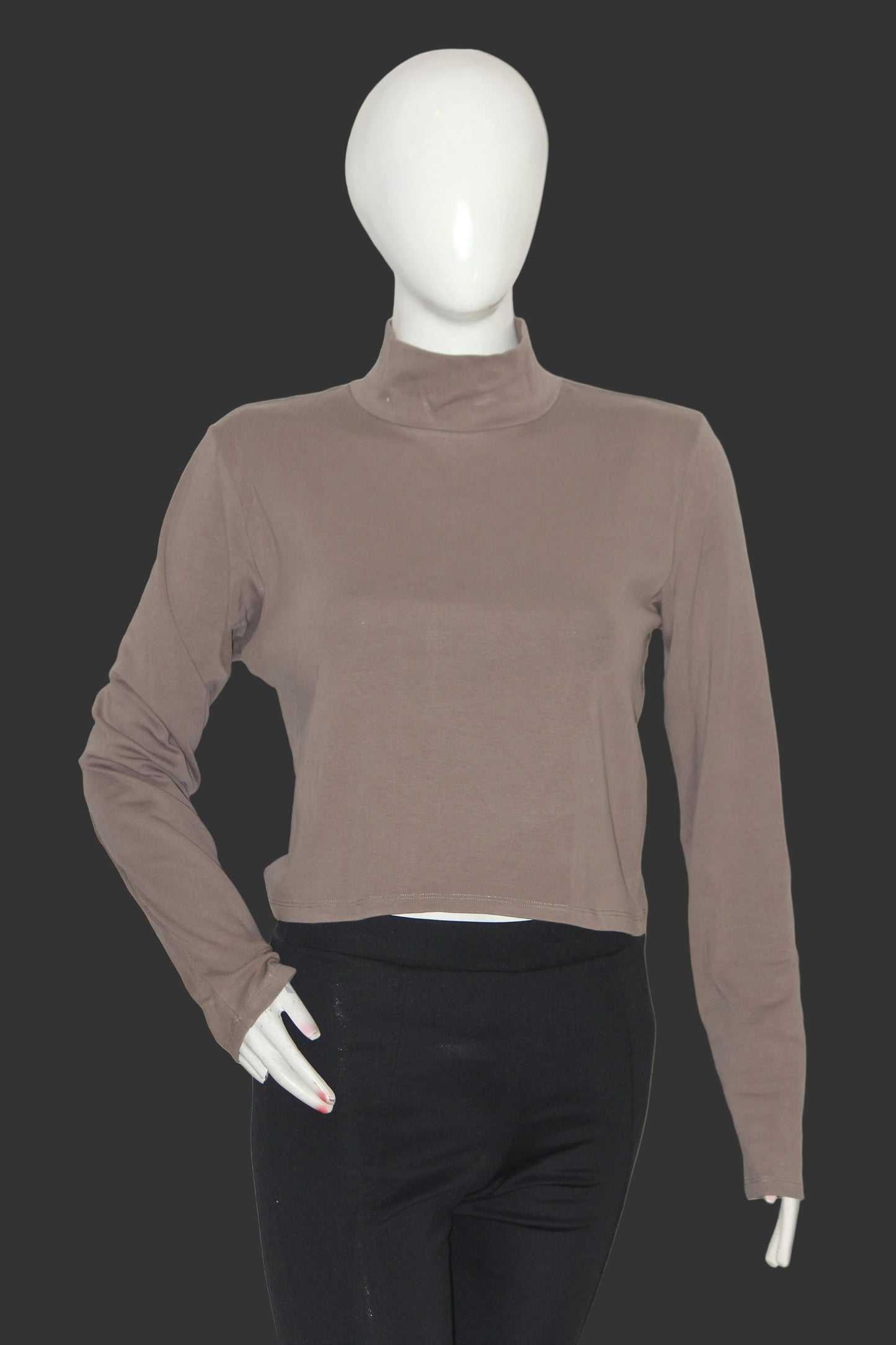 Zara Brown High Neck Stretchable Crop Top – XL