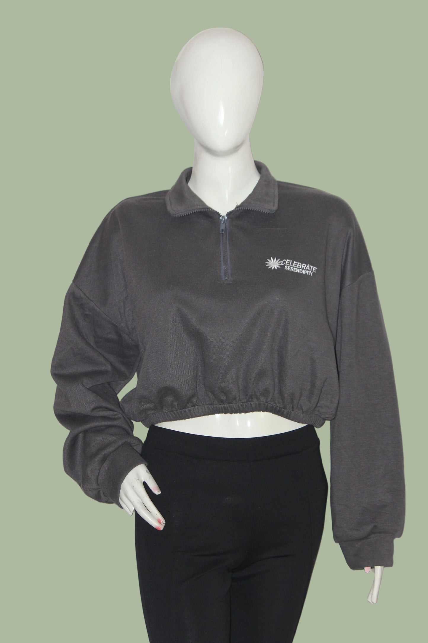 Dazy Grey Zipper Crop Top (Medium)