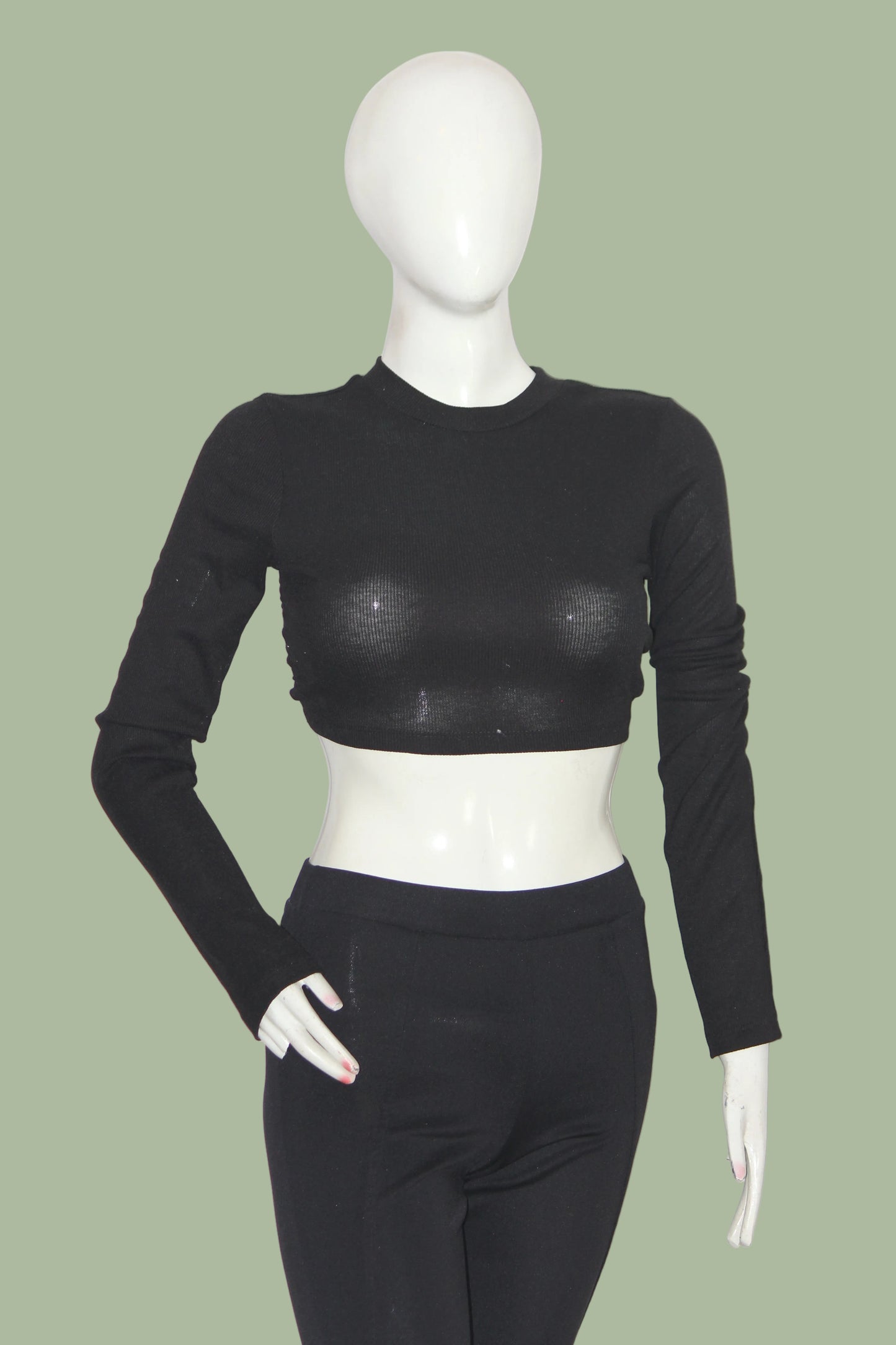 Shein Black Full Sleeve Crop Top for Women – XS